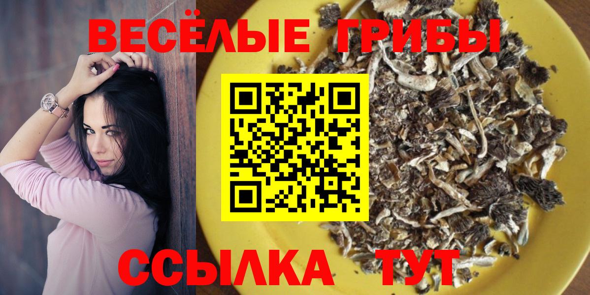 Галлюциногенные грибы MAGIC MUSHROOMS Выкса